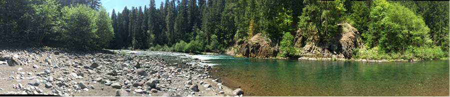 Salmon River in Rhododendron